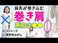 Download Lagu 【座ったまま】ストレッチでも治らない「巻き肩」を解消！腕のねじれをとる骨格ワーク