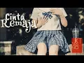 Lagu JKT48 Acoustic - Cinta Remaja [Lyrics]