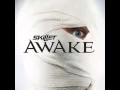 Download Lagu Skillet - Believe