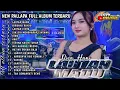 Download Lagu full album terbaru new pallapa 2024 || lautan madu birunya rindu lautan cinta tebu kau