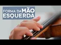 Channel