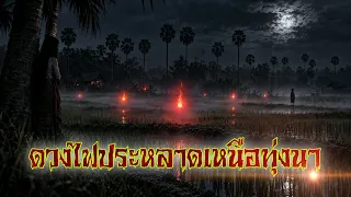 เล่าเรื่องผี ดวงไฟประหลาดเหนือทุ่งนา เรื่องเล่าตำนาน