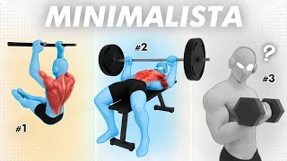 La Rutina de TORSO más Simple y Efectiva