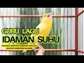 Lagu AWAS NYAUT,  PANCINGAN SUARA KENARI GACOR NGEREK PANJANG. cocok untuk kenari paud
