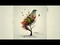 Download Lagu Cubering - Music for Birds and Trees [Full Album]