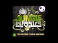 DJ Fresh ft. Sian Evans - Louder (Drumsound & Bassline Smith Remix)