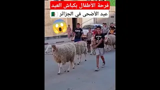 فرحة الأطفال بكباش العيد دندنها
