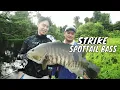 Download Lagu Berburu Strike Predator Sungai Agihe, Nabire | MANCING MANIA STRIKE BACK (23/08/25) Part 1