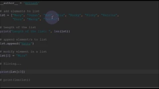 Python Lists Operations - Add Append Modify Remove Slice programminginpython com