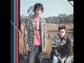 SHINE - 燕尾蝶
