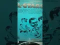 The Cesta All Stars - Soneros en una cesta