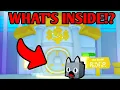WHAT S INSIDE the BANK in Pet Simulator X
