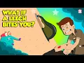 Download Lagu Deadliest Leech | How Do Leeches Bite? | How to Remove a Leech Safely? | The Dr. Binocs Show