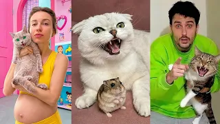 Most Beautiful Cats VIRAL MOMENTS Compilation 😻😂