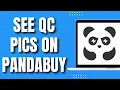 How to See QC Pics on Panda Buy Easy Quick 2023