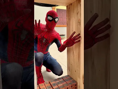 We are very lucky to have Spider-Man.#shorts