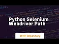 python selenium webdriver path