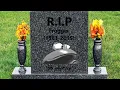 Razzle yo Frogger what up Compilation