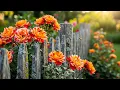 Download Lagu Подборка лучших мелодий🌿, которые можно слушать бесконечно🌿Музыка Сергея Грищука