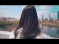 벚꽃 감성영상 I 시네마틱브이로그 I cherry blossoms vlog I 안산호수공원 I 소니A7M3
