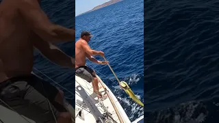 Fish having one last crack at freedom 😬😅🥜get the captain some ice #boatlife #fishing #funnyvideo