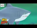 Download Lagu Wild Kratts | Sharks | Apex Predators of the Oceans