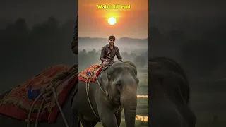 The elephant and the man #moral #motivational #sadstory #reels #shortfilms #karma