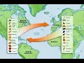 5th Grade History Columbian Exchange Map