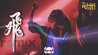 Download 大神慧🌸 - 飞 【DJ REMIX 舞曲】Ft. K9win MP3