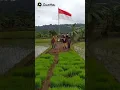 Download Lagu semangat bekerja demi sesuap nasi .