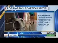 Jacksonville animal shelter hosting Roaring 20s adoption event