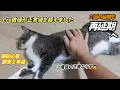 Download Lagu 再検査の結果 今の正直な気持ちとこれから