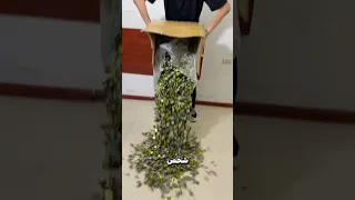 رسم بالأغطية المعدنية 