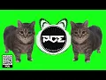 TECHNO ● OIIA OIIA CAT MEME (Fernando Caneo & Vesk Green Remix)