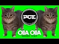 Lagu TECHNO ● OIIA OIIA CAT MEME (Fernando Caneo \u0026 Vesk Green Remix)