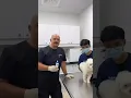 Let s Talk Ear Care With Dr Nenad Noble Vet Clinics