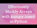 Effortlessly Modify Arrays with numpy insert in Python