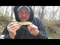 Download Lagu I Didn't Intend to go Micro Fishing...