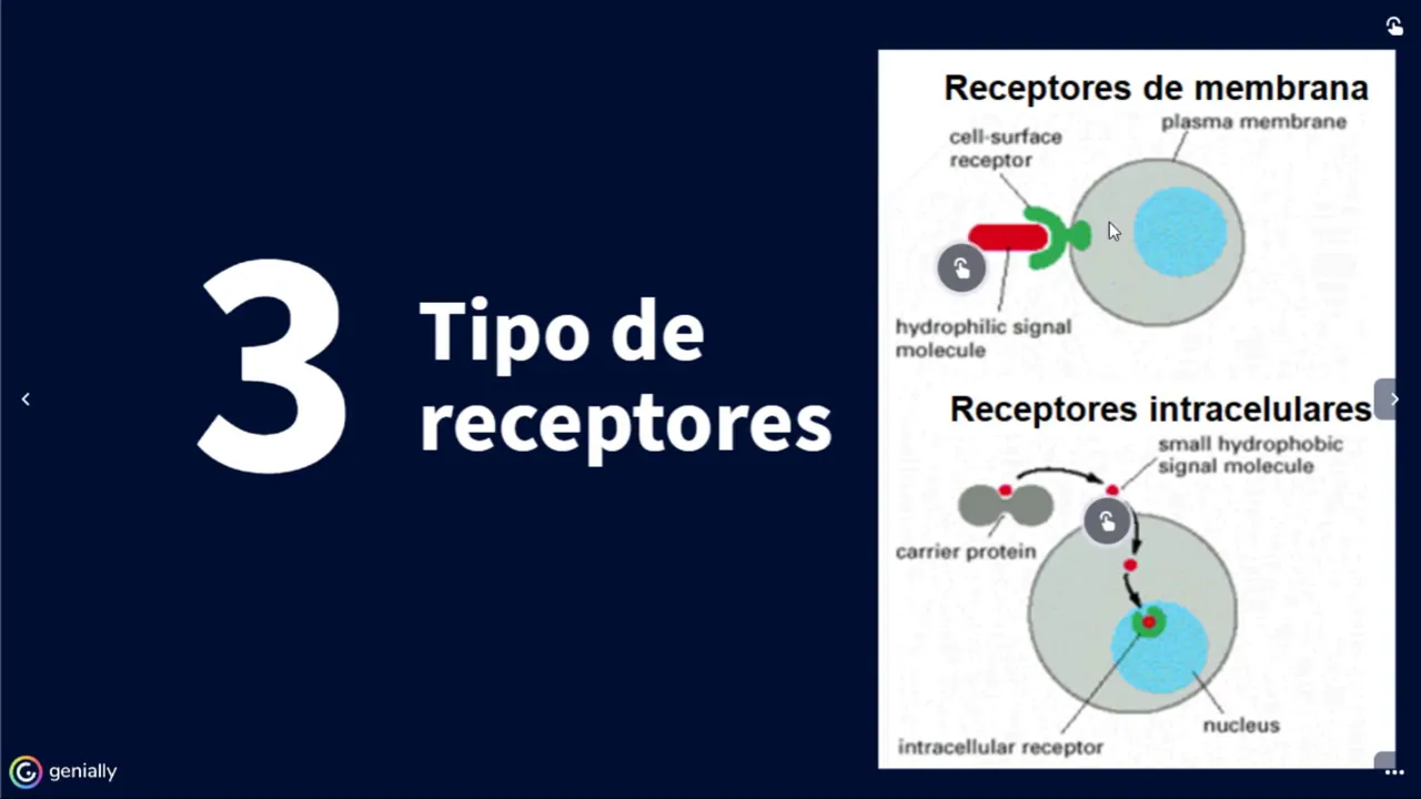 Comunicación intercelular