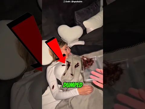 He Knew She Was Terrified of Bugs… But He Went TOO FAR! 🤯 #shorts #cute #trends #catcartoon #tiktok