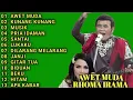KUMPULAN LAGU RHOMA IRAMA FULL ALBUM || AWET MUDA - KUNANG KUNANG - MUSIK