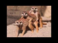 Joe Goddard - Taking Over - Let's Chill