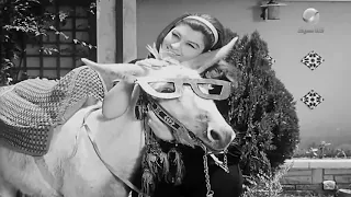 دويتو كوميدي فؤاد المهندس وشويكار من فيلم اقتلني من فضلك 