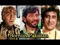 Top 6 Famous Bollywood Actors Who Were Born In Pakistan You Never Knew