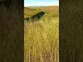 Download Lagu San Andreas Fault, California