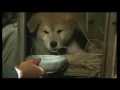 Lagu ハチ公物語 Hachiko Monogatari　「舞い落ちる雪のように」