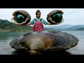 Pearl Hunter excavates the treasure of deformed river clams and charming pearls