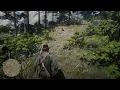 Red Dead Redemption 2 Martha s Swain