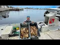 Commercial Lobster Diving - Rinse Repeat