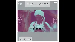 ليل الضياع صديق أحمد 